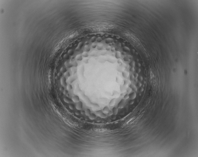 X0000056020590200509021758