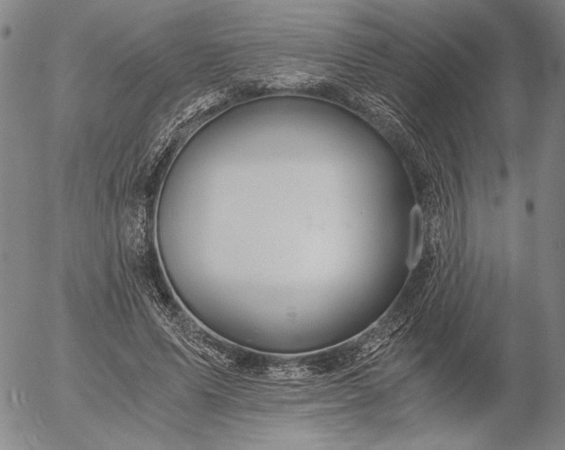 X0000056020591200509021758
