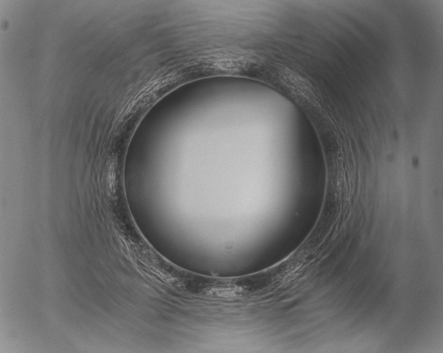X0000056020595200509021758