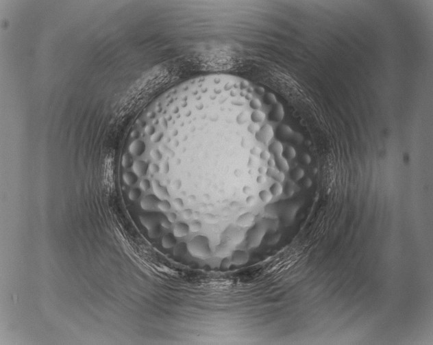 X0000056020598200509021757
