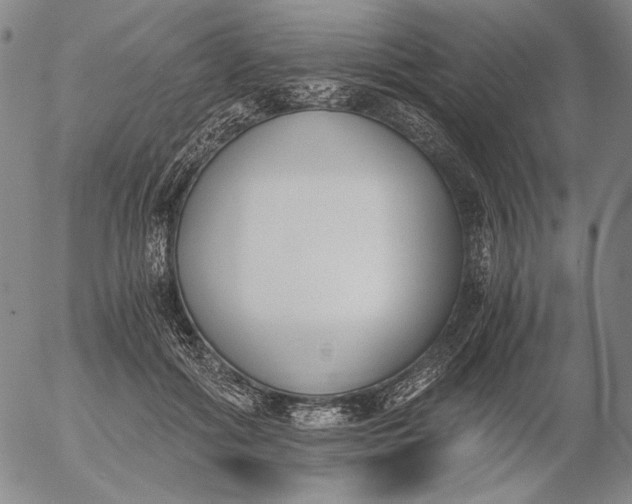 X0000056020602200509021757