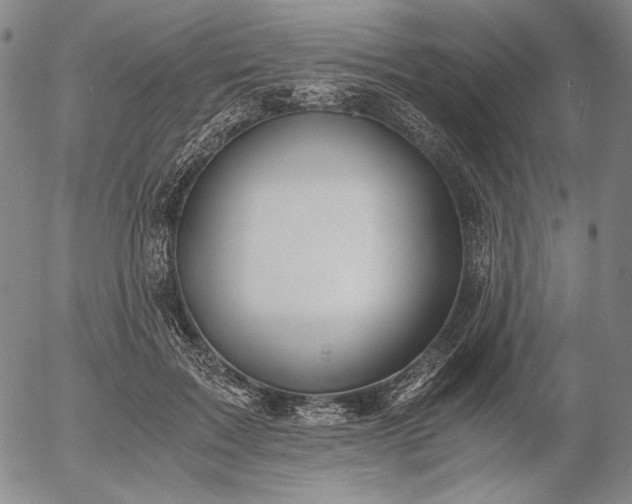 X0000056020603200509021757