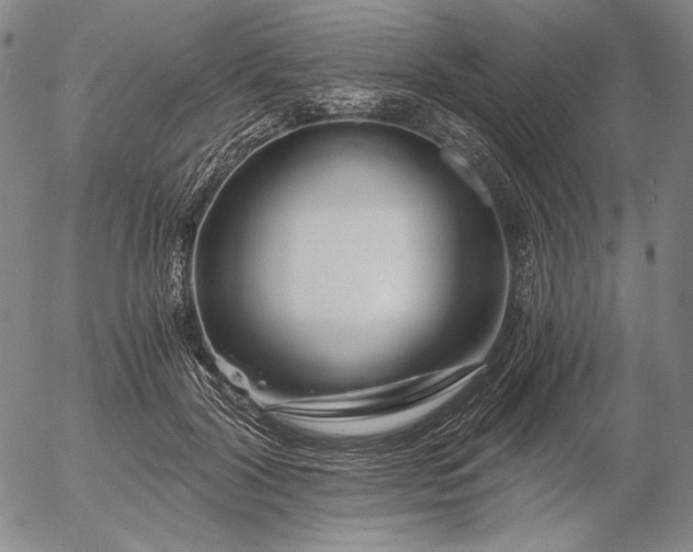 X0000056020604200509021757