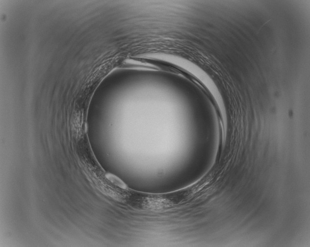 X0000056020605200509021757