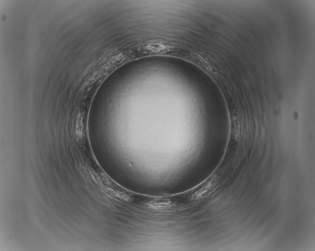 X0000056020606200509021757