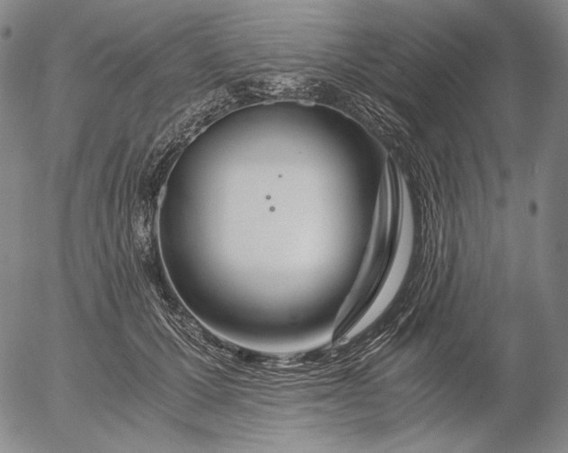 X0000056020607200509021757