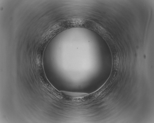 X0000056020608200509021757