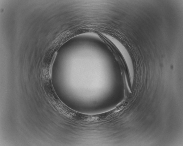 X0000056020609200509021757