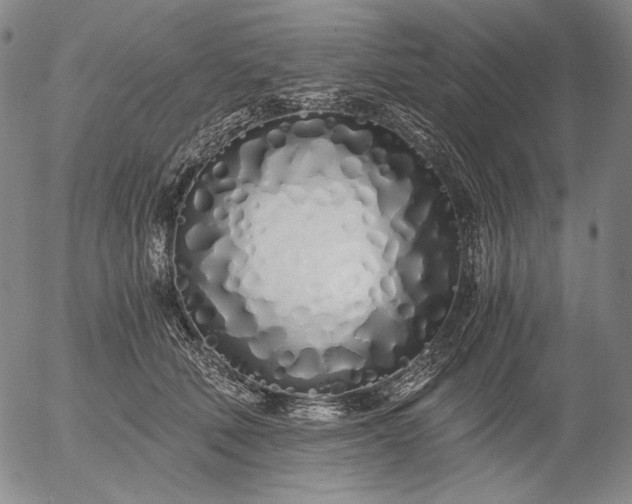 X0000056020610200509021757