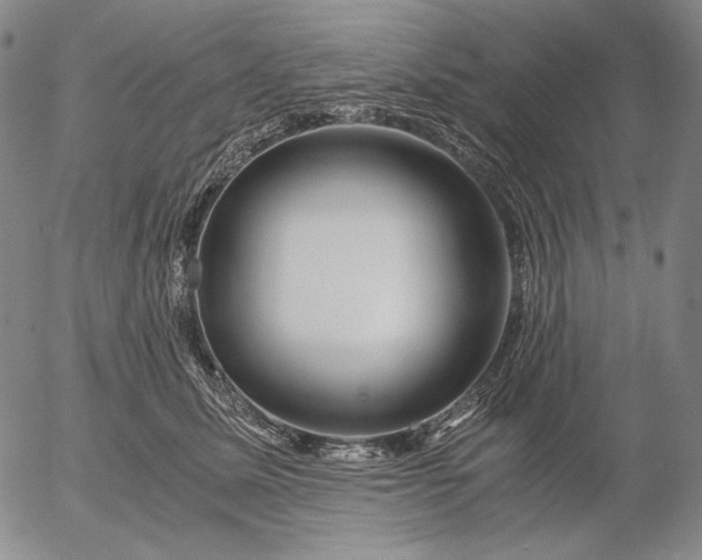 X0000056020611200509021757