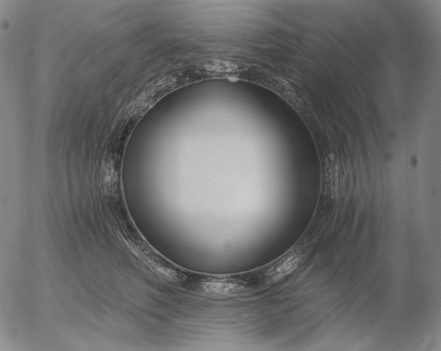 X0000056020614200509021757