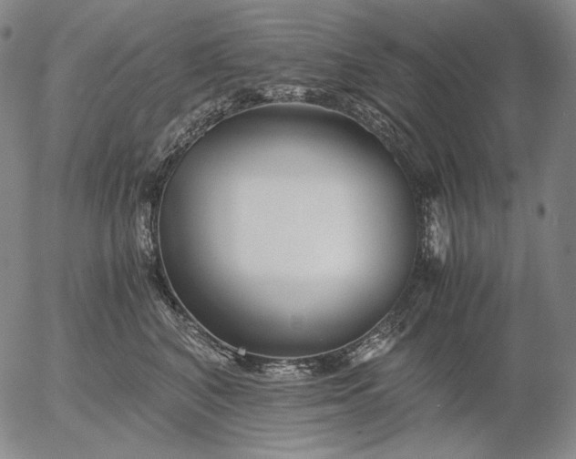 X0000056020616200509021757