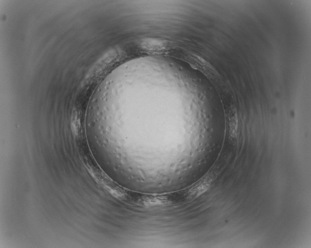 X0000056020618200509021757