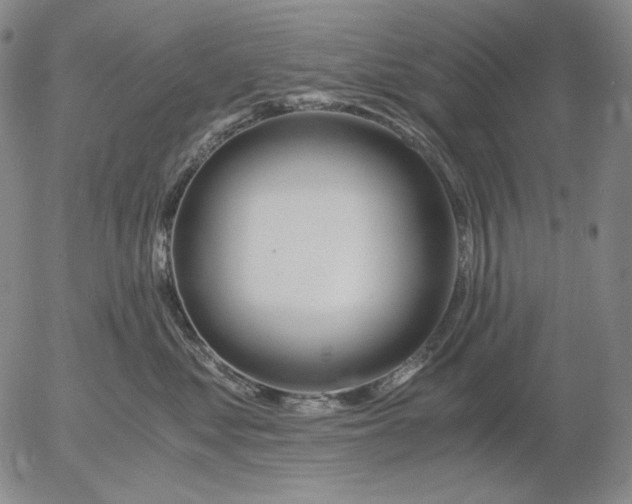 X0000056020621200509021757