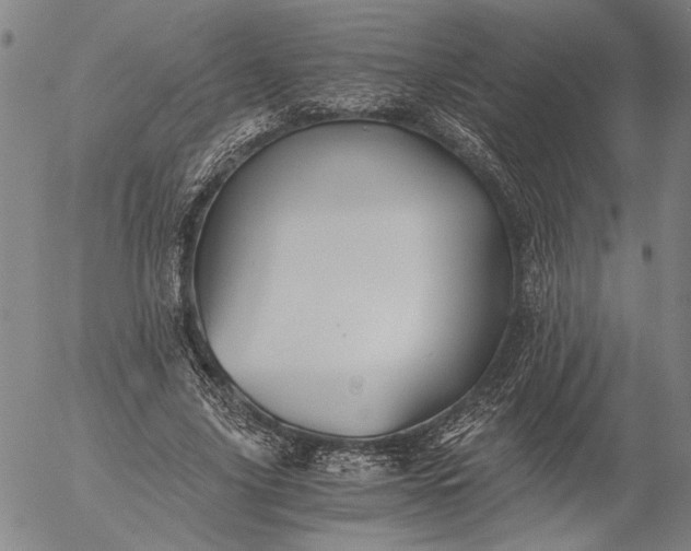 X0000056020635200509021756