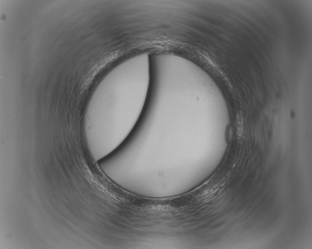 X0000056020637200509021756