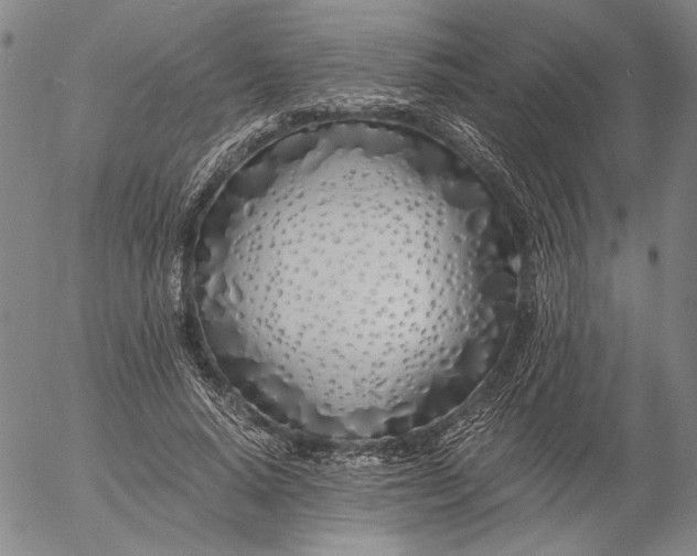 X0000056020640200509021756