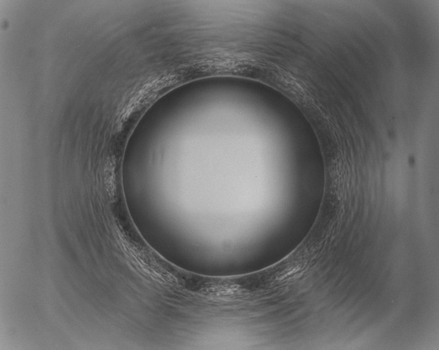 X0000056020642200509021757