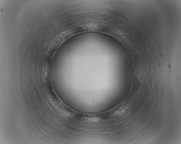 X0000056020645200509021757