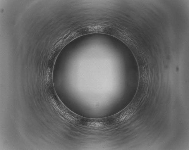X0000056020649200509021757