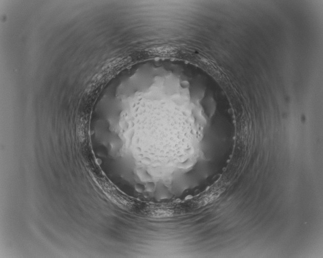 X0000056020658200509021757