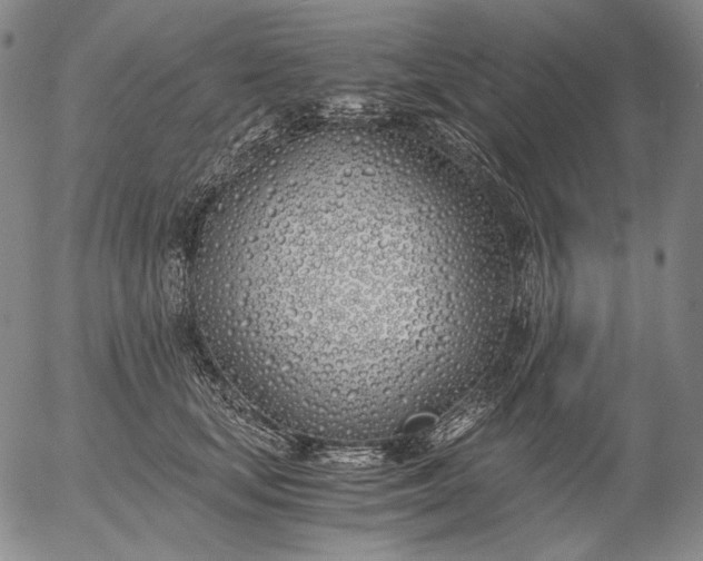 X0000056020659200509021757