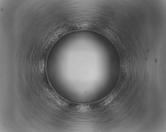 X0000056020660200509021757