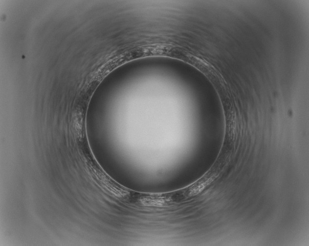X0000056020661200509021757