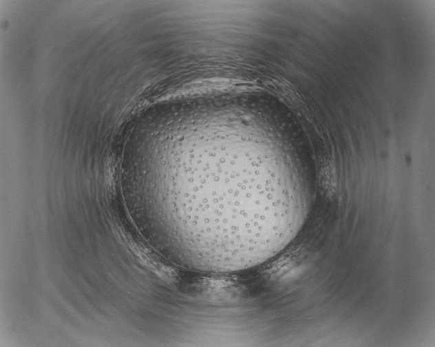 X0000056020662200509021757