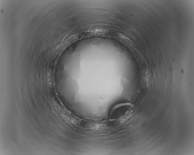 X0000056020663200509021757