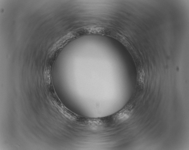 X0000056020666200509021757