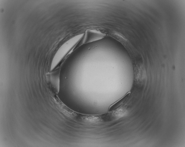 X0000056020669200509021757