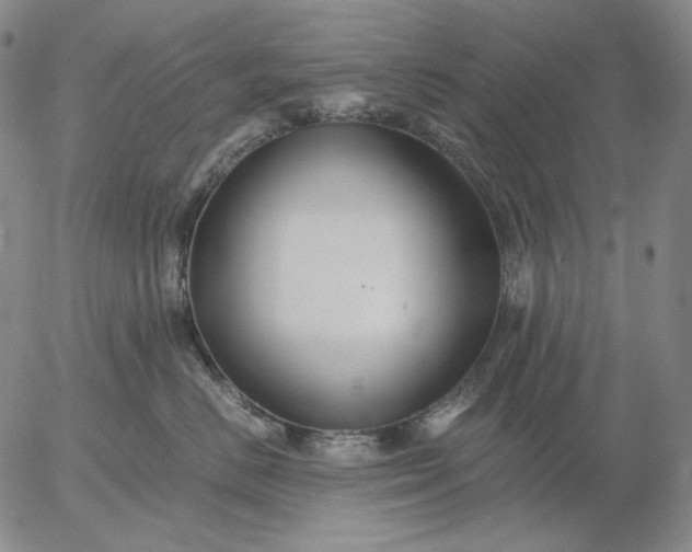 X0000056020670200509021757