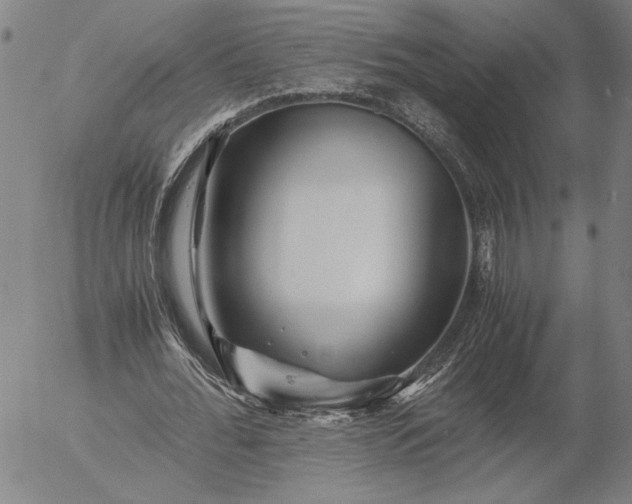 X0000056020676200509021756