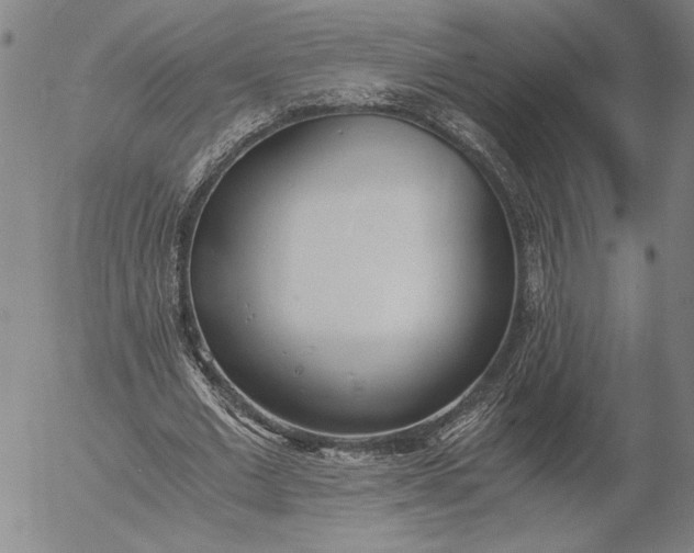 X0000056020677200509021756