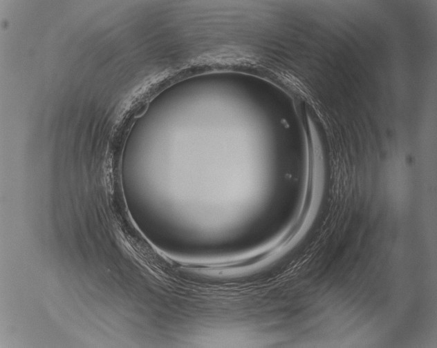 X0000056020680200509021756