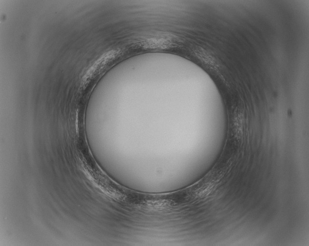 X0000056020686200509021756