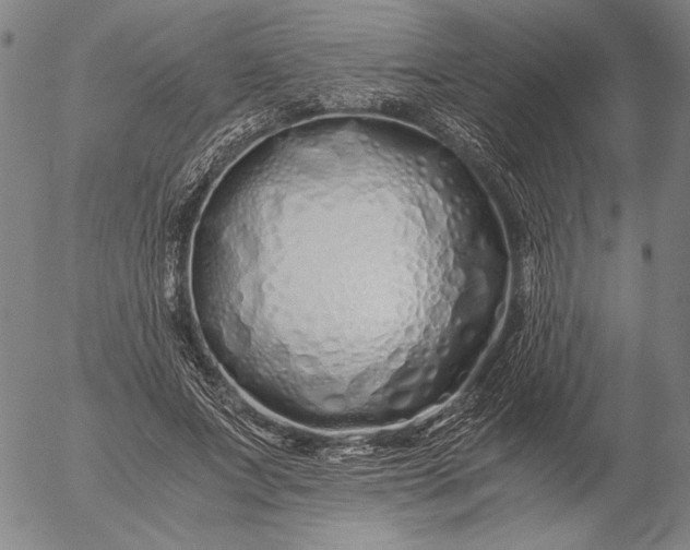 X0000056020687200509021756