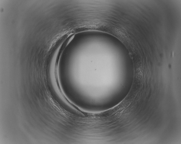 X0000056020688200509021756