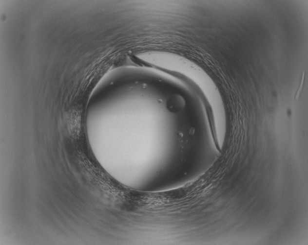 X0000056020697200509021756
