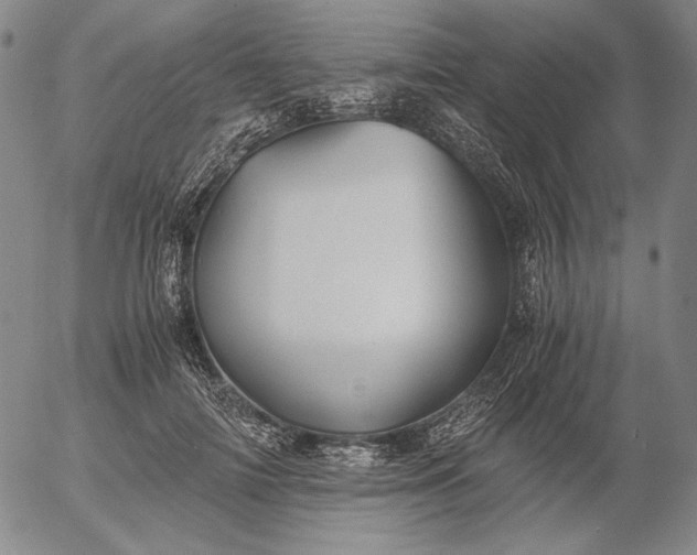 X0000056020698200509021756