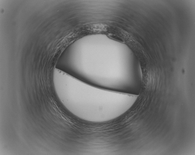 X0000056020704200509021756