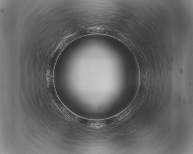 X0000056020708200509021756