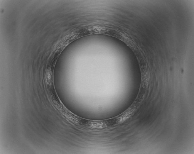 X0000056020709200509021756
