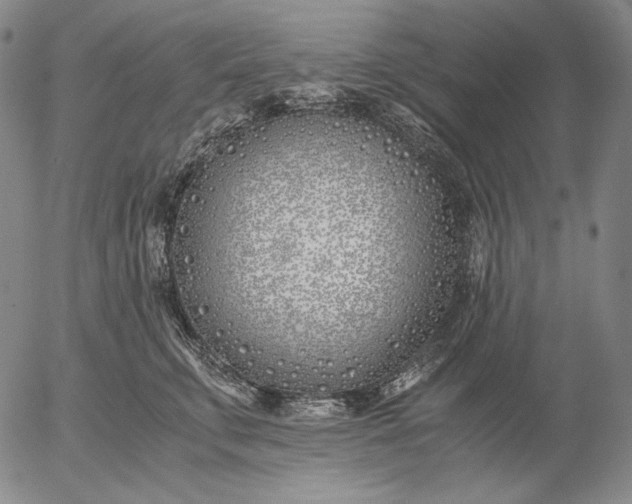 X0000056020711200509021756