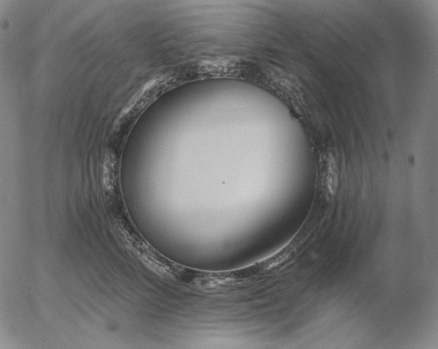 X0000056020712200509021756