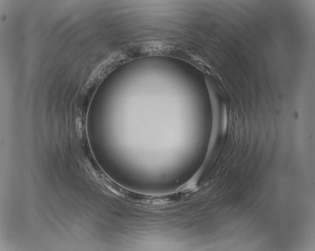 X0000056020716200509021755