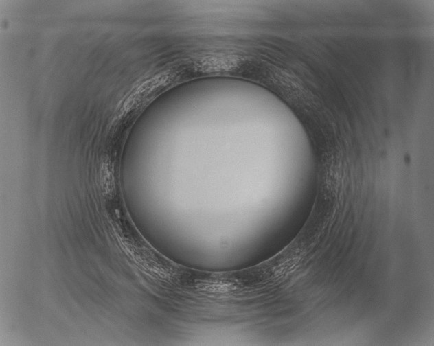 X0000056020743200509021755