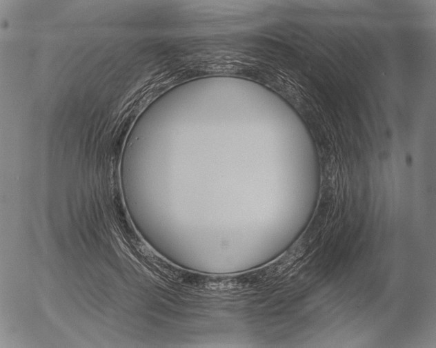 X0000056020744200509021755