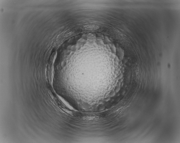 X0000056020745200509021755